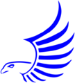 HeinemanHawks