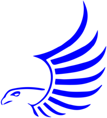 HeinemanHawks